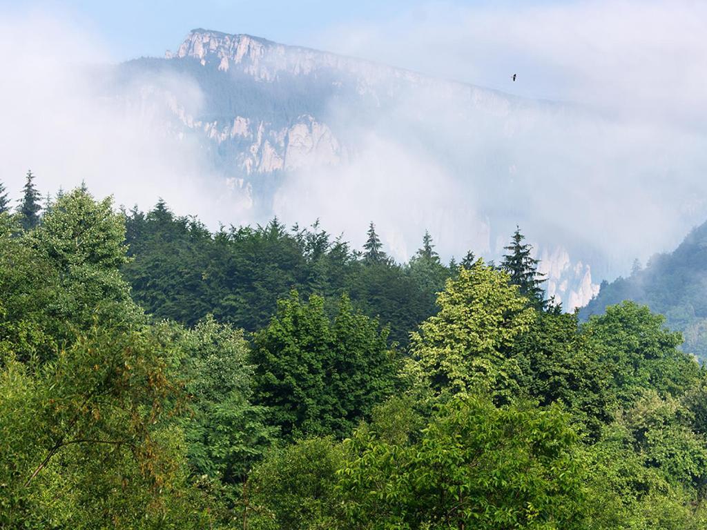 Pensiunea Bobu Hotel Izvoru Muntelui Luaran gambar