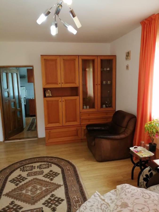 Pensiunea Bobu Hotel Izvoru Muntelui Luaran gambar