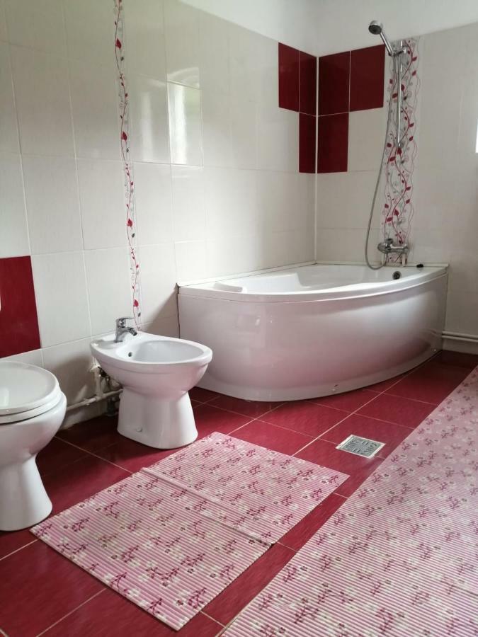 Pensiunea Bobu Hotel Izvoru Muntelui Luaran gambar