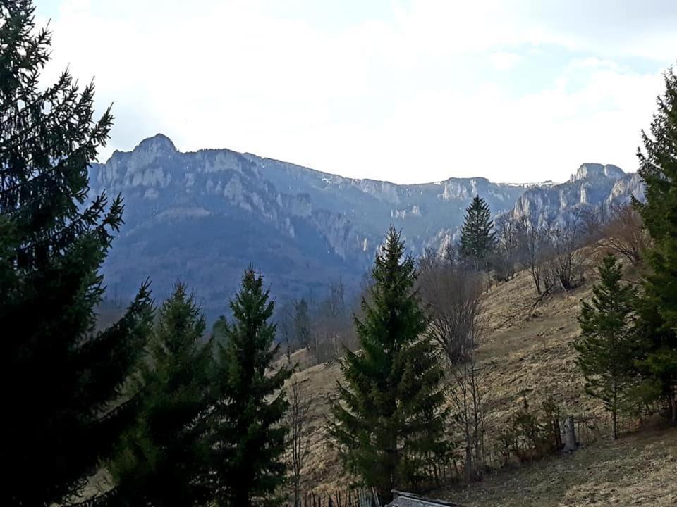 Pensiunea Bobu Hotel Izvoru Muntelui Luaran gambar